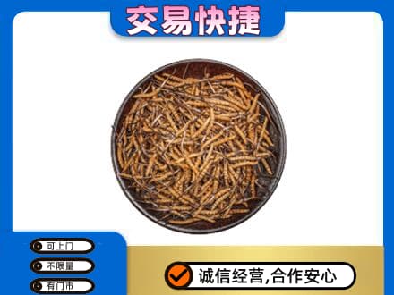 普洱市镇沅礼品回收虫草.jpg